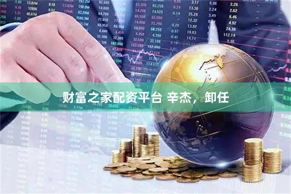 财富之家配资平台 辛杰，卸任